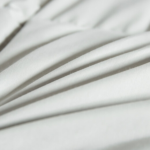 Hengyuanxiang Quilt Core Antibactérien Antibactérien Goie Velvet Couette blanche GOOSE VELVET CHAUD ANTI-DIAMOND VELVET AUTUM
