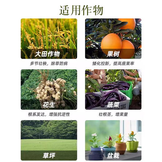 Uniconazole is used to control sweet potatoes, soybeans and sweet potatoes, and is a special agent for controlling the growth of peanuts and peppercorns.