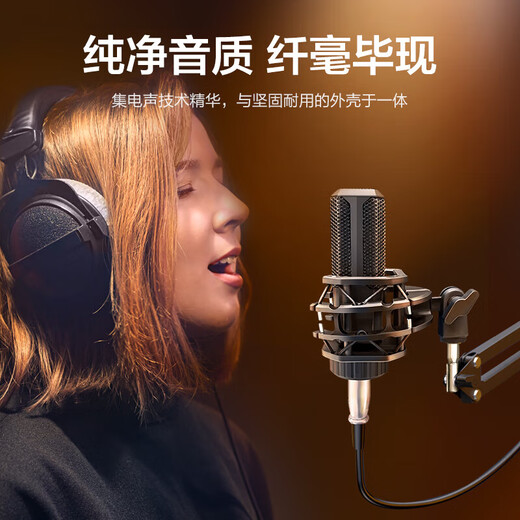 Wise Country Recording Studio Sound Quality Computer Microphone Dynamic Desktop Sound Card Live E-Sports Capacitor Game Mike K Song Radio Anchor Equipment Microphone Desktop Speaker Notebook 3.5