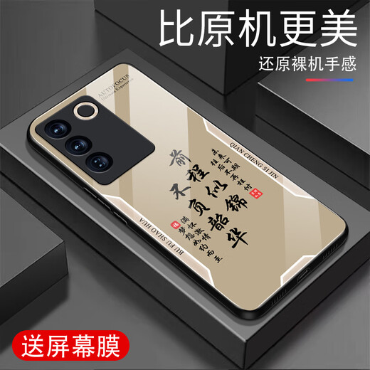 Zhen PEI es adecuado para la caja de teléfonos móviles VIVOS16 S16 Programa de pantalla móvil Película de teléfono móvil Anti-Fall Glass Tempered Full-Fil-Dter Shell Vivos16e Caso protector Caso de protección Pacífica Texto Paz Joy [Amargo G7170] VIVOS16 [Película gratuita]