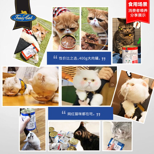 Fussy Cat Australian original imported cat wet food canned snacks all-stage cat and kitten pet food filled beef kangaroo salmon formula multi-flavor kangaroo meat formula 400g*12 cans