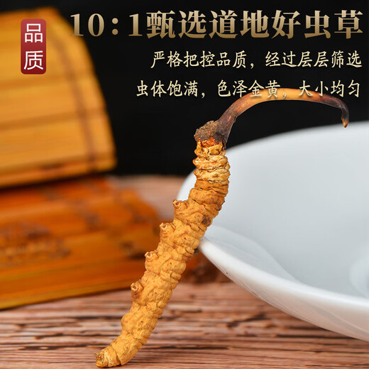 Cordyceps sinensis Cordyceps sinensis 2 gramos de cordyceps secos en áreas tibetanas, buenos regalos para Cordyceps sinensis 50 gramos, 50 cajas de regalo [especificaciones 2 gramos]