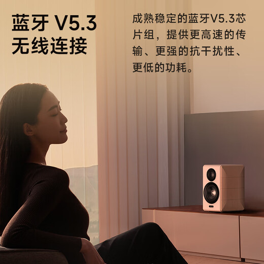 Edifier (EDIFIER) S880MKII Exquisite HIFI Active 2.0 Speaker High-Fidelity Bluetooth Connection Computer Audio TV Audio Home Gift