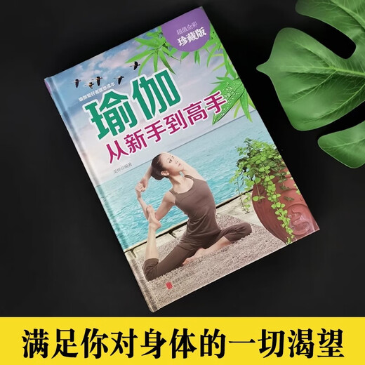 Genuine Yoga from Novice to Master Yoga Books Beginners' Complete Tutorials for Beginners to Lose Weight with Illustrations Yin Yoga Pilates Teaching