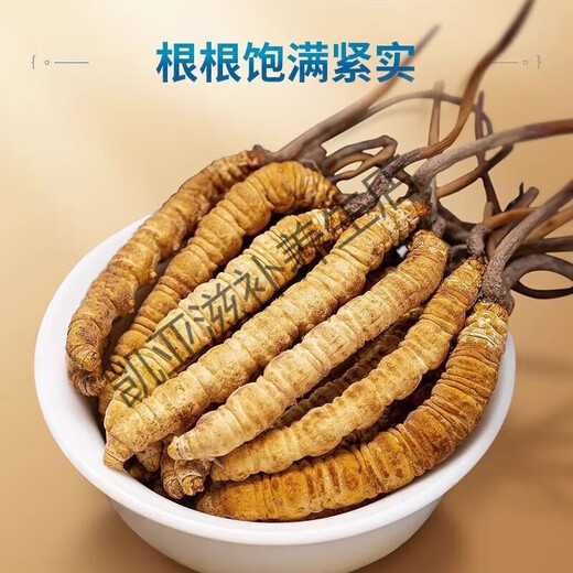 北京同仁堂正宗虫草10根礼盒装2024年头期藏区冬虫夏草 每根0.5克虫草王10根【共5克】礼罐装