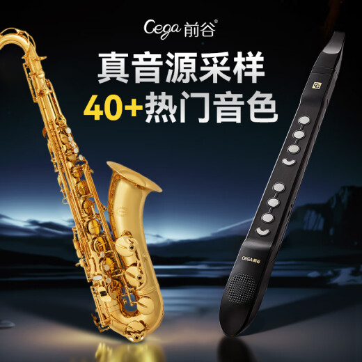 Top 10 Marken von elektrischen Saxophonen für Anfänger spielen Level Electric Saxophon Flöteninstrumente für ältere und ältere Feiertagsgeschenke