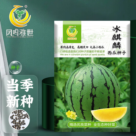 Fengming Yashi gift small watermelon seeds early maturing greenhouse four-season seeds thin-skinned yellow-flesh ice unicorn watermelon seeds 50 capsules