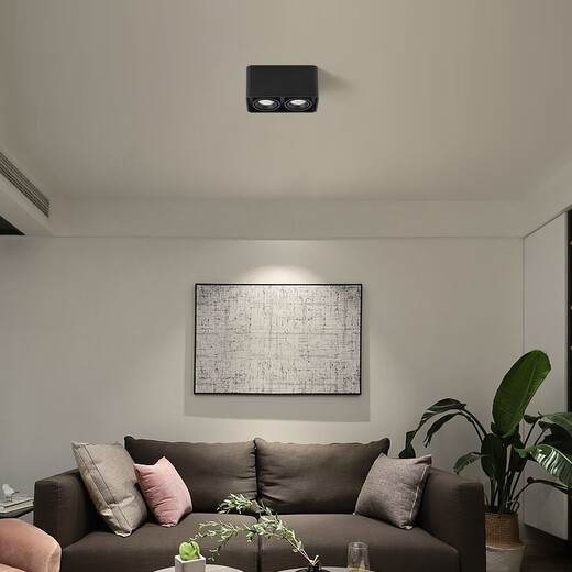 
Daguanyuan (DGY) surface-mounted downlight intelligent high finger display anti-glare no-glare living room lighting ceiling light Guangdong Zhongshan lamp 429O 9853 Mi Home - Double-head white Purui 20W pole-less
