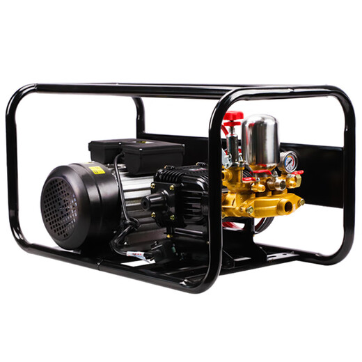 220V voltaic pesticide machine electric high voltage agricultural new style greenhouse high power orchard pesticide pump spray artifact 3000 watt 60 pump bare metal free of butter + 300 meters pipe