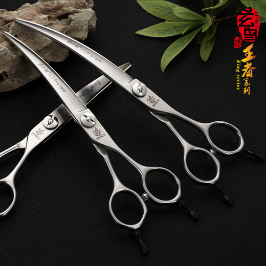 Black Bird Master Pet Scissors Professional Pet Grooming Scissors Set Straight Curved Scissors Fish Bone Scissors Dental Scissors Beautician Shop Tools BS 6.75 Inch Comprehensive Small Bend