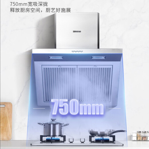 Yingxue (INSE) household side-suction range hood wall-mounted range hood exhauster large suction H1221W (Q)