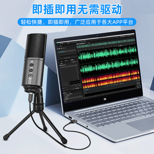 Burren Bell BL520X-USB condenser microphone audiobook special recording equipment professional novel Himalayan mobile phone microphone recitation dubbing broadcast set anchor recording studio entry-level model with desktop stand + monitoring headphones