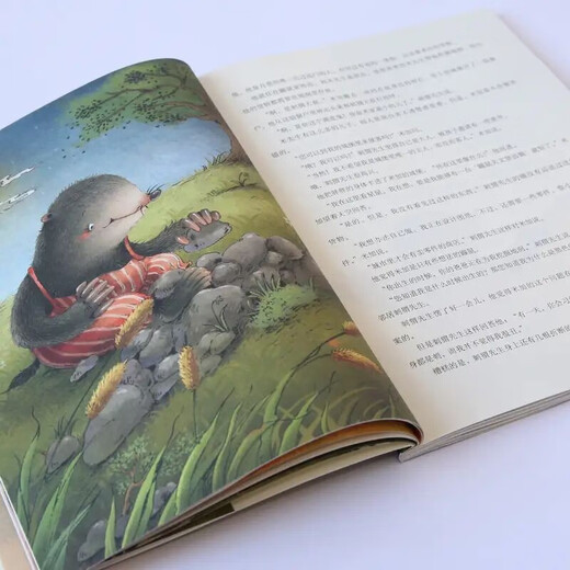 打动孩子心灵的中国经典童话：鼹鼠的月亮河 课外阅读 阅读 课外书暑假作业 一升二暑假衔接 小升初暑假衔接