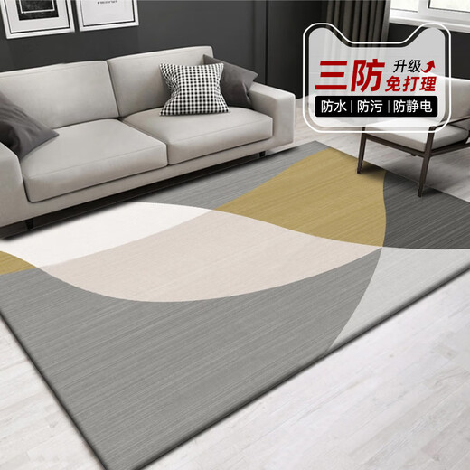 Alfombra de sala de estar de lei'erout No lavable el sofá lavable Mat de la zona grande Sala completa Home Home Home Implay Simple No. 13567 250cm*180cm (suave y fácil de cuidar)
