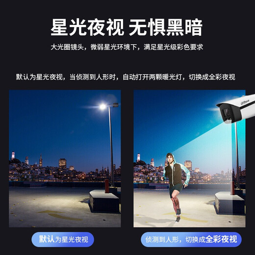 大华dahua 监控摄像头800万网络高清人脸识别全彩电动变焦 DH- IPC-HFW4843F1-ZYL-PV-AS(2.7-12MM)