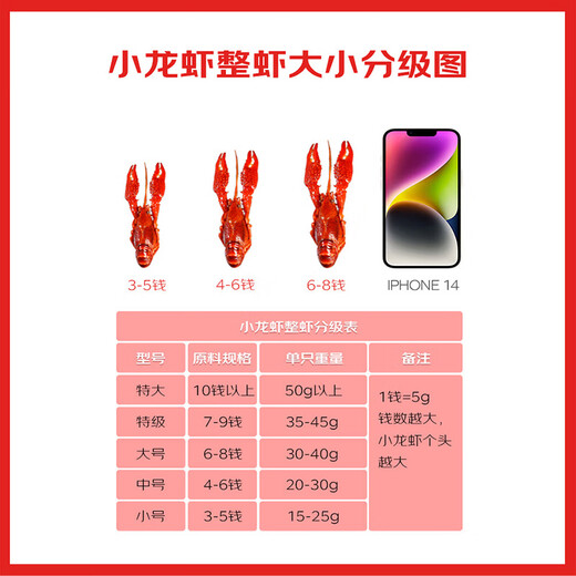 Jinjinshang Spicy Crayfish 3Jin Jin is equal to 0.5kg, 4-6 yuan. Clean shrimp 1.5Jin Jin is equal to 0.5kg, medium size 25-33 pieces.