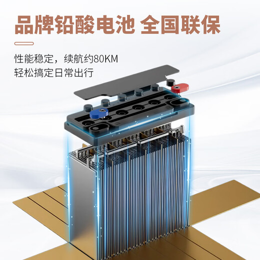 Xiaodao Electric Vehicle 60V20Ah Lead Acid Electric Motorcycle Smart Bluetooth Unlocked Electric Motorcycle Pedal Commuting Battery Car New Moonlight White-APP Bluetooth Unlocked