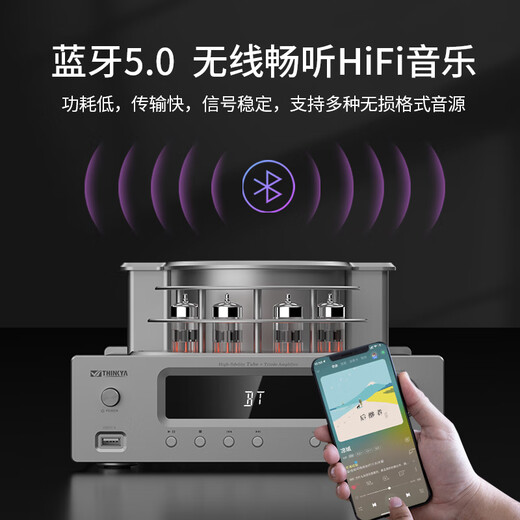 THINKYA fever electronic tube front gallbladder and back stone combined type of bile amplifier amplifier all-in-one fever vocal HIFI lossless sound quality 2.0 passive combination audio pure gallbladder front amplifier DVR102