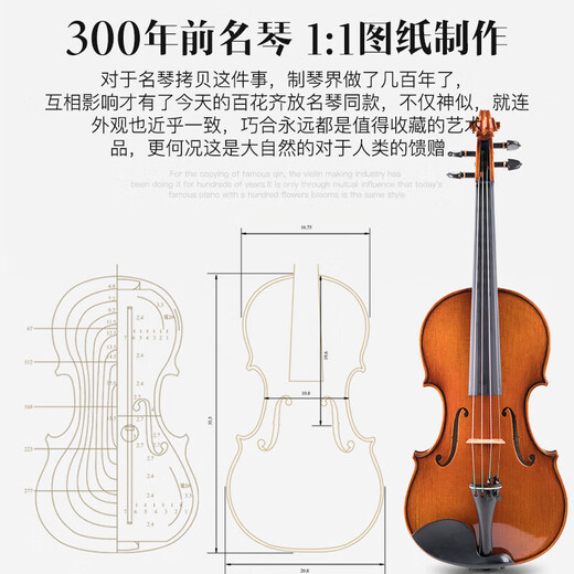Lesmander (Angelviolin) M002A Lesmander Natural Tiger Muster Massives Holz reines Handwerk College -Prüfung Italienische Handwerkswahre [4/4] Geeignet für Höhe 155 ~ 220 cm