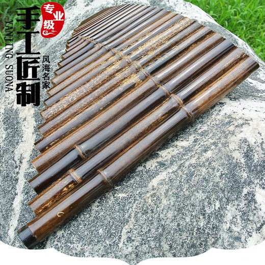 风海名家萧乐器专业排箫25管g调紫竹演奏级排笛乐器二十五苗排箫通用直销 专业25管C调+豪礼
