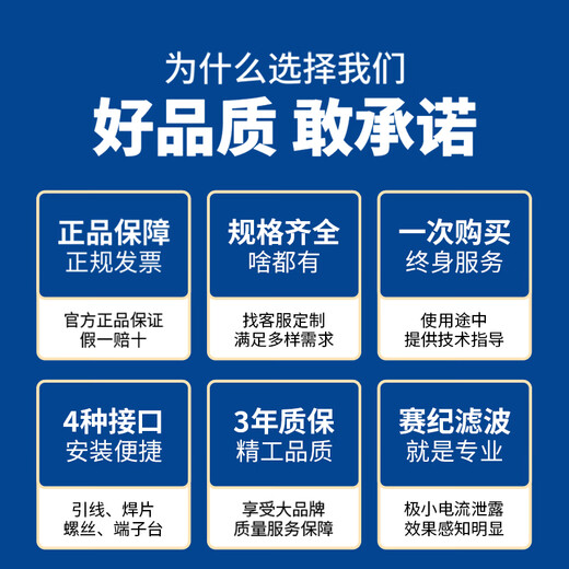 Saiji SJD410D terminal block single-phase DC two-stage filter emi low-pass 220V anti-interference power supply purification SJD420D-6