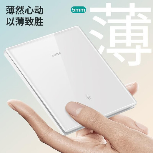 国际电工开关插座面板亚克力家用86墙壁暗装双控五孔带开关USB电源5孔插座 五孔插座(10A)