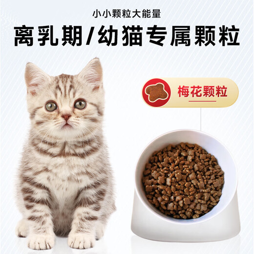 Timcili Milk Cake Cat Food Kitten Cat Food 1 to 4 Months Old Lactoferrin Milk Cake Cat Colostrum Immune Food 454g