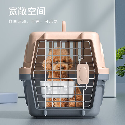 喵先生宠物航空箱猫咪狗狗航空箱便携式猫箱子外出猫包太空舱车载托运箱 奶灰色（48*30*33cm）