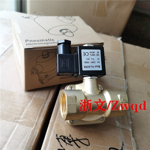 Solenoid valve Best-Nr.0200 DC24V AC220V 0927200 Normally closed diaphragm water valve air valve oil valve DC24V