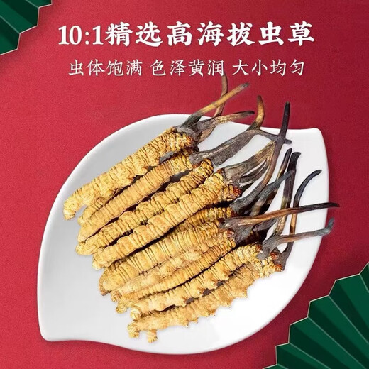 雄风道正宗冬虫夏草虫草头期藏区雪域冬虫夏草过节送礼礼盒装 3根/克 10克装