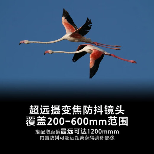 Sony (SONY) full-frame telephoto telephoto landscape/bird hunting super telephoto lens FE200-600mmF5.6-6.3G OSS official standard configuration