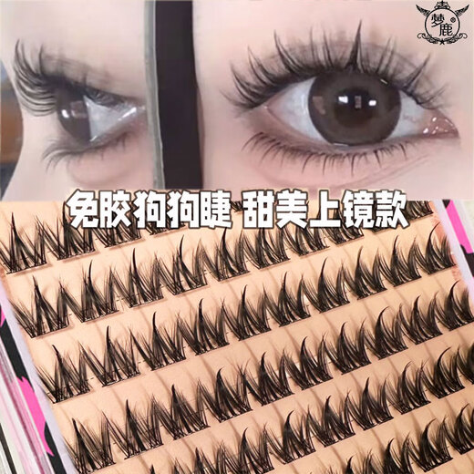 Menglu glue-free 10 rows of thick dog eyelashes for lazy people with small breasts, cartoon canine super soft eyelashes for beginners, natural eyelashes, 96 clusters of glue-free dog eyelashes + silver gold feather tweezers