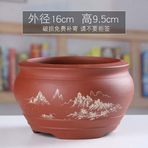 Yuxuantang purple sand flowerpot ceramic household classical Phalaenopsis orchid green dill breathable potted asparagus and calamus succulent small and medium size YY purple sand 1342 (welcoming pine) red