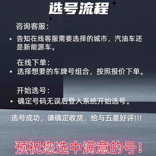 全国车牌选号自编自选上海广州成都杭州新能源汽车12123数据库 乳白色 新能源-精选