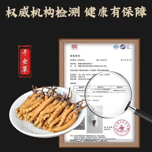 Cordyceps sinensis Cordyceps sinensis 2 gramos de cordyceps secos en áreas tibetanas, buenos regalos para Cordyceps sinensis 50 gramos, 50 cajas de regalo [especificaciones 2 gramos]