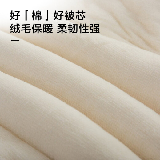 Jiabai quilt 100% Xinjiang cotton quilt 4Jin [Jin equals 0.5kg] pure cotton spring and autumn quilt single quilt student dormitory quilt core cotton pad quilt bed mattress 1.5 meters
