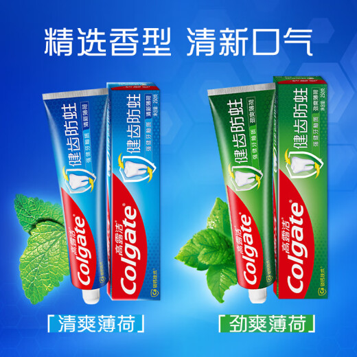 高露洁（Colgate） 全面防蛀清新薄荷味牙膏大容量250g 清新口气