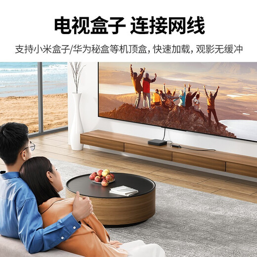 UGREEN USB to 100M wired network card RJ45 network cable interface suitable for Mac box laptop external Ethernet port converter black compact model (small and easy to carry) 30305