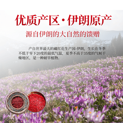 [Direktverkauf in der Apotheke] Qithcloud Irans erster Safran 1G Geschenkbox Echtes Peking Dongguan Ziyingqi Kaufschiff 1G *1 Box (10 Boxen *Importierte Safran)