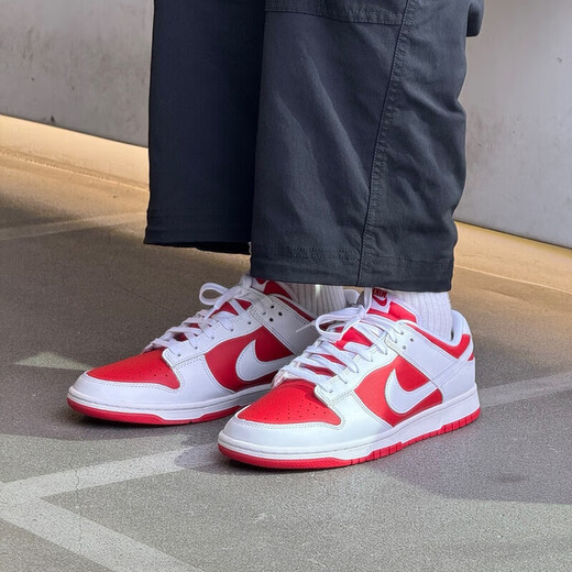 耐克（NIKE）官方男鞋 Dunk 春季新款运动鞋防滑耐磨低帮休闲鞋板鞋 DD1391-600-反转白红 43