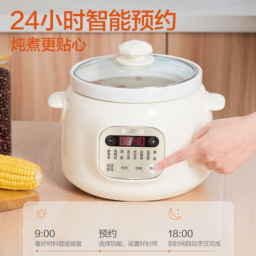 苏泊尔（SUPOR）电炖锅家用智能电炖盅电砂锅煲汤锅炖汤锅3升容量煲煮粥锅婴儿辅食锅燕窝3-4人用煮粥神器多功能 3L 【3L白瓷内胆】DG30YC826