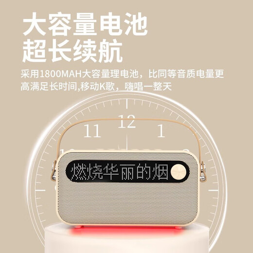 朵帆10岁女孩生日礼物7-14女童麦克风话筒音响一体机儿童玩具3-6岁