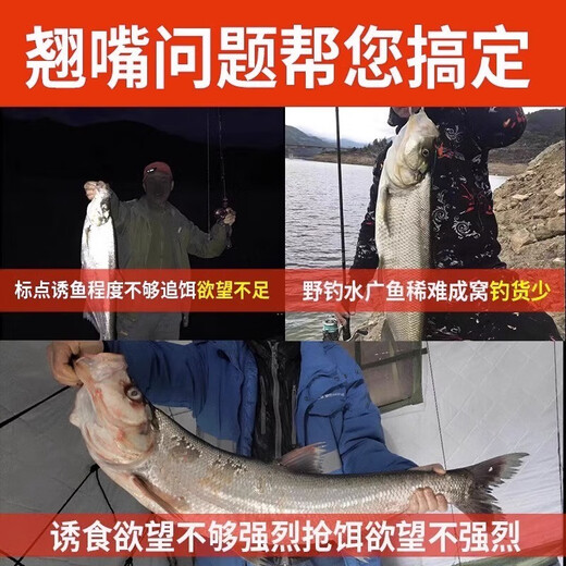 Special food attractant for asafoetidae fishing, white strips of bait, black pit fishing additives, wild fishing, carp, grass, green bream, 1 bottle [easy to gather fish]