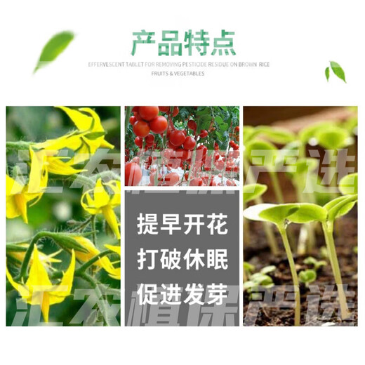 Aiduo Recovery Sodium Nitrophenolate Tomato Flower and Fruit Coloring Promotes Flowering, Budding and Rooting Antidote for Pesticides and Plant Growth Regulator 50ml (4 Bottles)