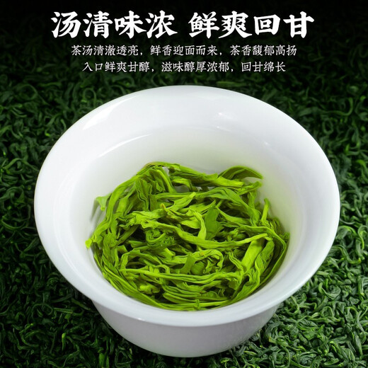 陈一凡 茶叶高山云雾绿茶 明前2025年新茶一级春茶浓香型耐泡散装500g
