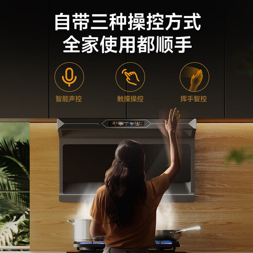 Haotaitai变频油烟机轻奢新品小黑翼虎鲸大吸力28立方顶侧双吸净烟机挥手语音操控烟灶套装N62-BPZ 【不锈钢2件套】虎鲸N62+不锈钢翻盖定时灶688