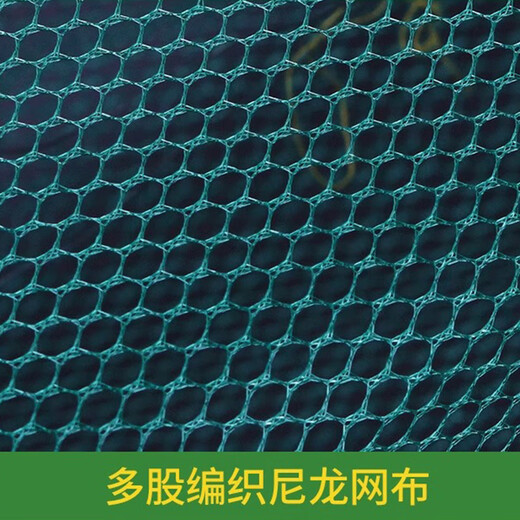 Zhiyu Fish Net Fish Cage Shrimp Cage Shrimp Cage Fishing Cage Crab Shrimp Net Catch Fish Lobster Fishing Net Fishing Net Artifact 8 Holes