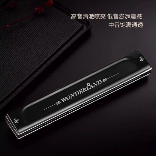 天鹅（SWAN）德国原装进口音簧24孔复音口琴A/B/C/D/E/F/G专业演奏级成人乐器 24孔圆弧款复音G调【不留指纹】
