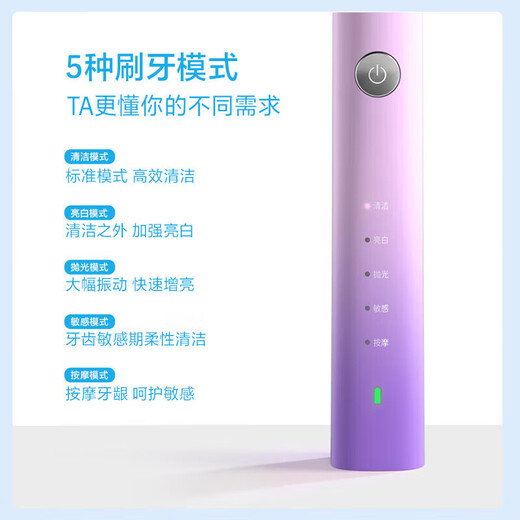 FLYCO Adult Electric Toothbrush Symphony Series Couple Model Intelligent Sonic Vibration Deep Cleaning Gum Protection Soft Brush Brush for Boy and Girl Birthday Chinese Valentine's Day Gift FT7105 FT7105 Romantic Powder with 4 Brush Heads