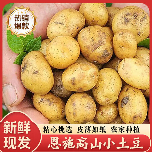 Enshi small potatoes, sun-dried, freshly dug, yellow-skinned mini potatoes, glutinous alpine potatoes, Marco potatoes, 2Jin Jin equals 0.5kg - large fruit - duck egg size (with box)